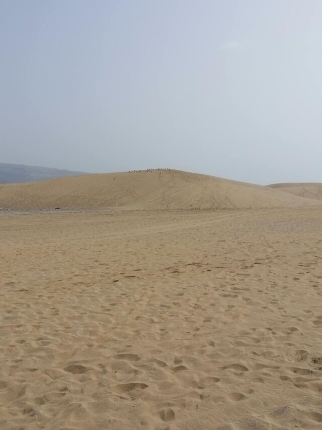 Salpara