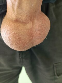 IMG_20250811_082433_749.jpg