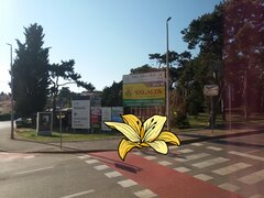20250813_075207.jpg