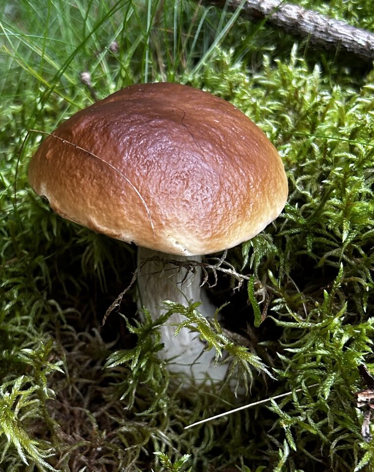 IMG_8241.jpeg - NaturystaXXX