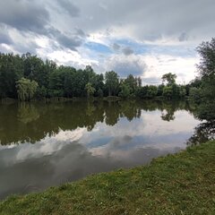 IMG_20250713_160237.jpg
