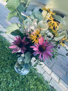IMG_6938.jpeg