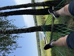 IMG_1286.jpeg