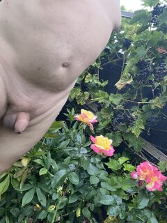 IMG_5972.jpeg