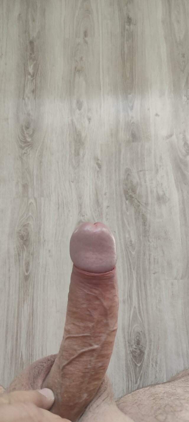 ON29