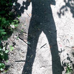 20250816_154556.jpg