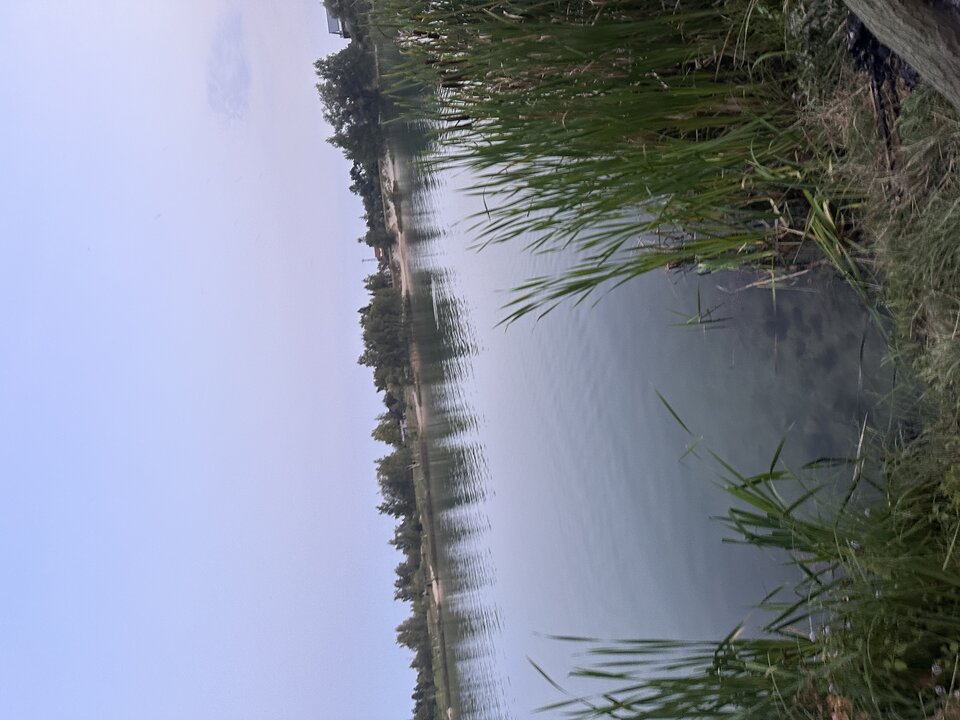 IMG_1130.jpeg - Ostrychlopczyk