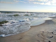 1000002361.jpg