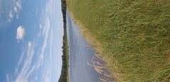 20250817_121920.jpg