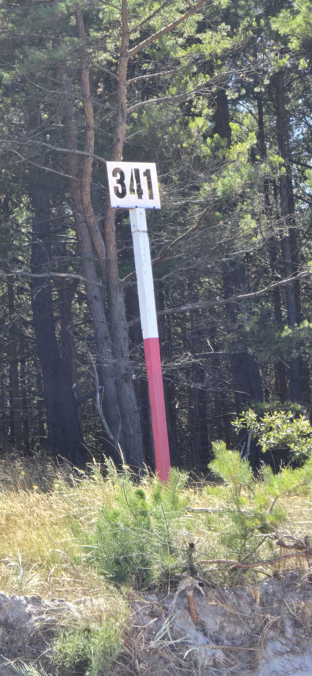 widmo75