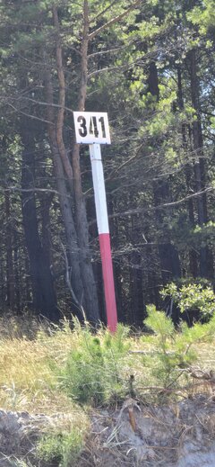 20250817_140649.jpg
