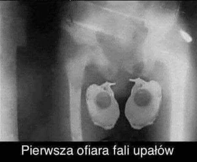 PrawdziwyStg78