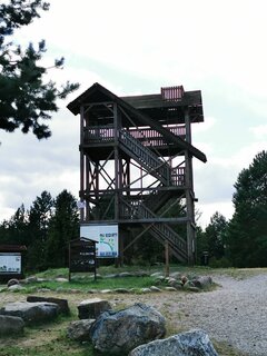 IMG_20250817_131847.jpg