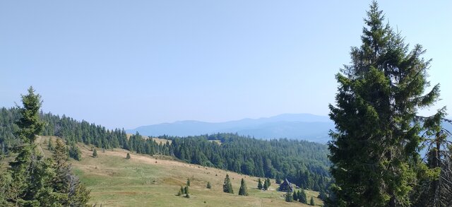 Z_ofia