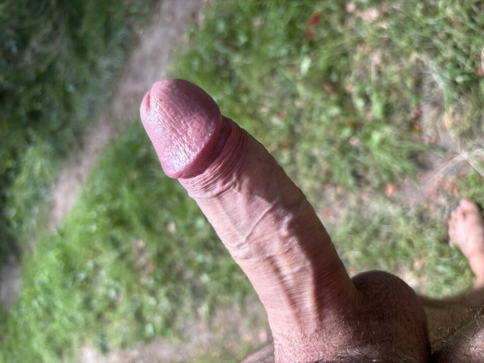 IMG_2890.jpeg - Lolek123456q
