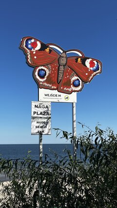 IMG_9262.jpeg
