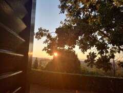 IMG_20250808_063212437_HDR.jpg