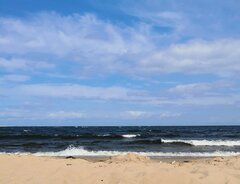 IMG_20250816_193328.jpg