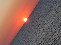 20250819_201849.jpg