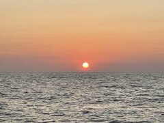 IMG_4135.jpeg