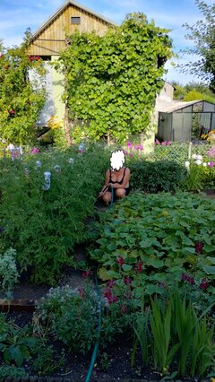 IMG_20240706_180214064_HDR.jpg