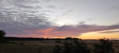 IMG_20250821_053652.jpg