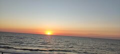 IMG_20250831_200817.jpg