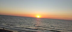 IMG_20250819_200531.jpg