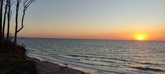 IMG_20250819_200535.jpg