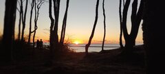 IMG_20250820_201057.jpg