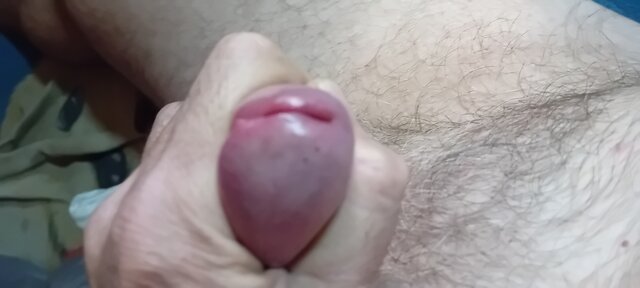 PANdora1234