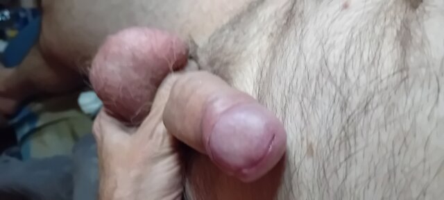 PANdora1234