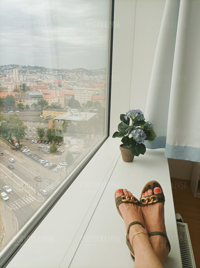 Eurydyka2956