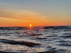 IMG_2085.jpeg