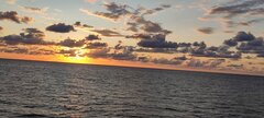 IMG_20250821_194957.jpg