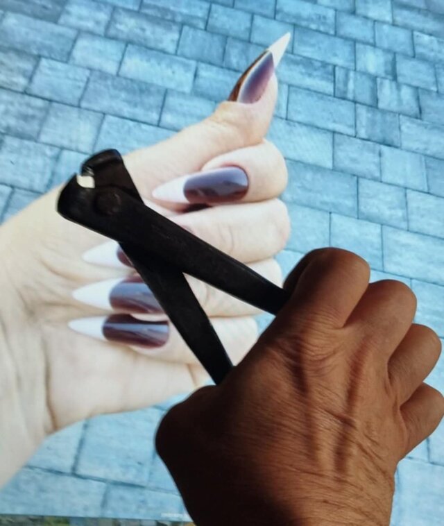 Wirtualne_Swiry