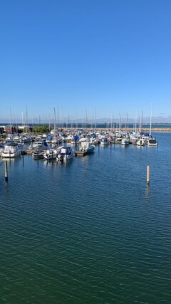 IMG-20250819-WA0012.jpg