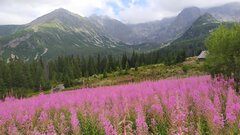 IMG_20250819_153058.jpg