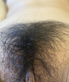IMG_7526.jpeg