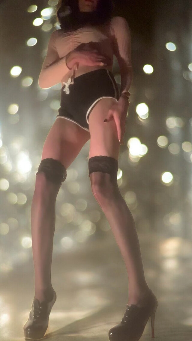 LauraTransCD
