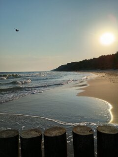 Dzień dobry miłego dnia
