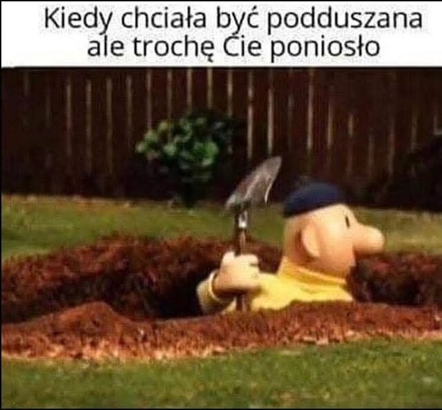 Jaca420