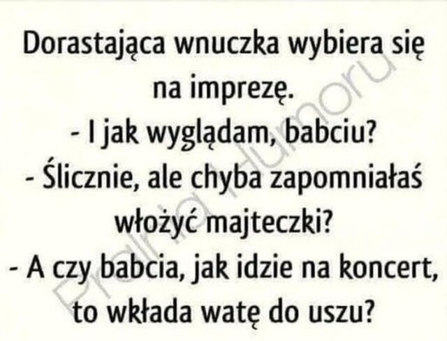 szary_wilk_