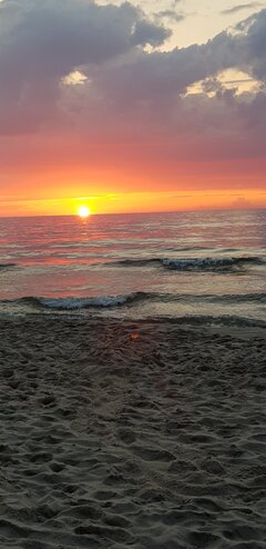 20230712_212436.jpg