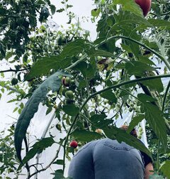 IMG_7066.jpeg