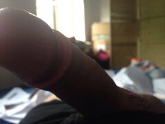 IMG_1482.jpeg