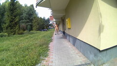 BYTOM - Miechowice przy bloku 20250821_1042.mp4_snapshot_00xd.39