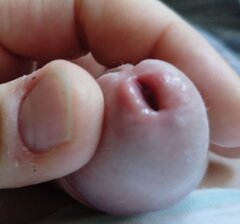 1000018057.jpg