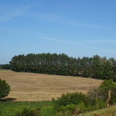 DSC04575.JPG
