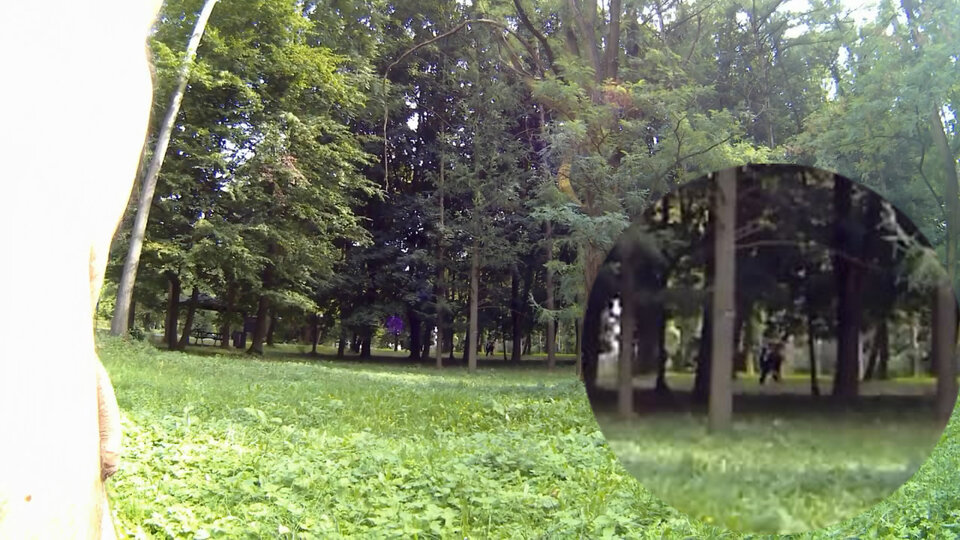 ROGOŹNIK - w parku 20250821_1419.mp4_snapshot_00.38_[2025.08.25 - Krzysztof_cfnm
